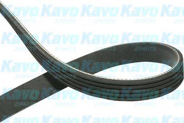KAVO PARTS DMV9018 Полікліновий ремінь