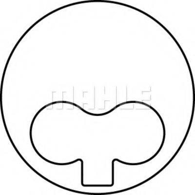 MAHLE ORIGINAL 013PI00101000 Поршень