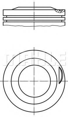PERFECT CIRCLE 56076981 Поршень