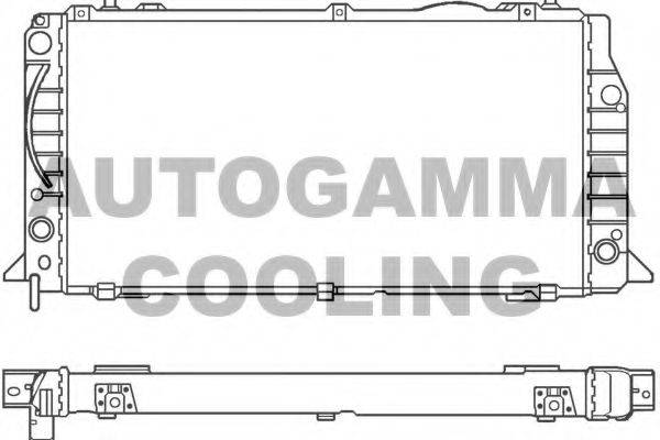 AUTOGAMMA 100049 Радіатор, охолодження двигуна