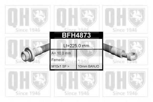 QUINTON HAZELL BFH4873 Гальмівний шланг